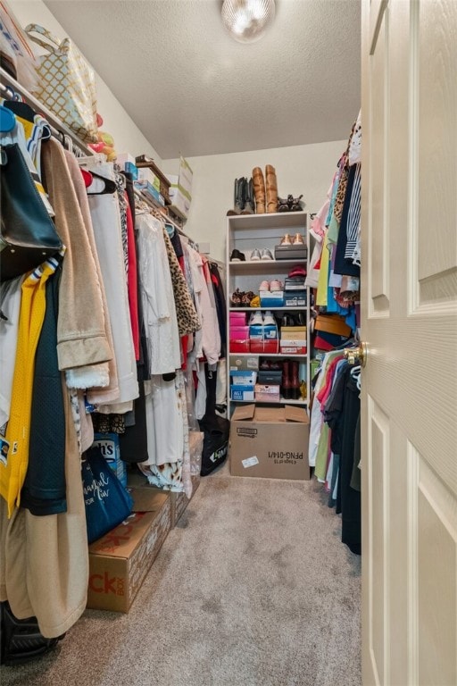 walk in closet featuring carpet flooring