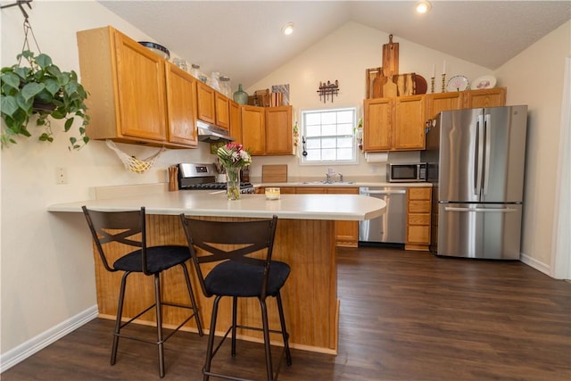 kitchen featuring appliances with stainless steel finishes, dark hardwood / wood-style floors, sink, a breakfast bar area, and kitchen peninsula