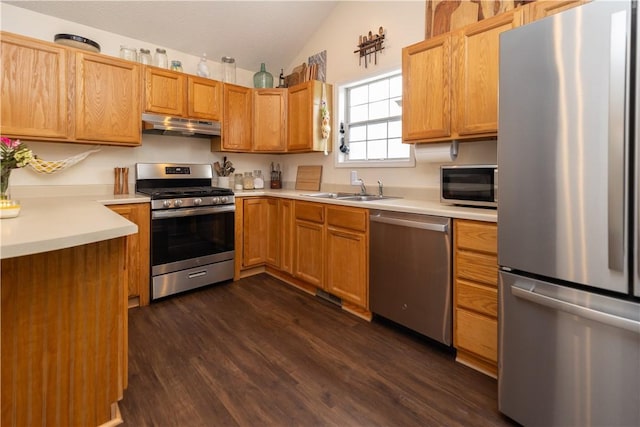 kitchen featuring lofted ceiling, appliances with stainless steel finishes, dark hardwood / wood-style flooring, and sink