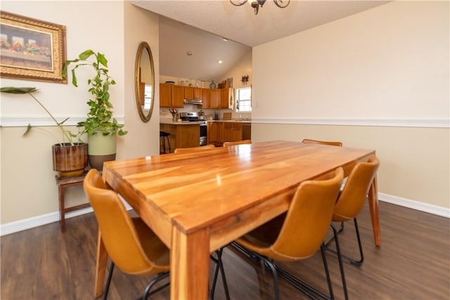 dining space with lofted ceiling, sink, and dark hardwood / wood-style flooring