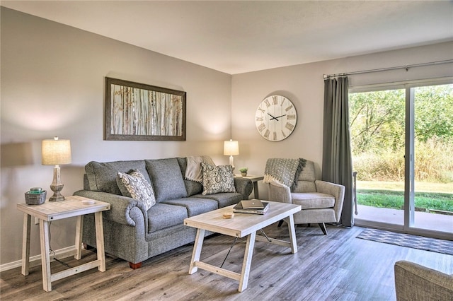 living room featuring hardwood / wood-style flooring