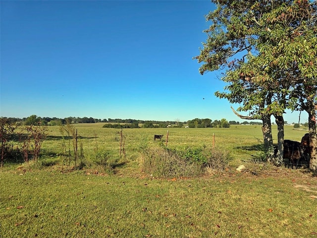 view of yard with a rural view