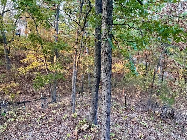 3 Dairy Hollow Ct, Eureka Springs, AR 72632 - photo 27