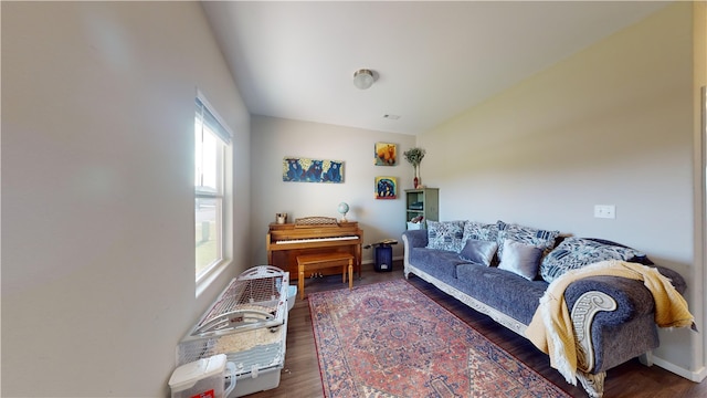 living room featuring dark hardwood / wood-style floors and a wealth of natural light