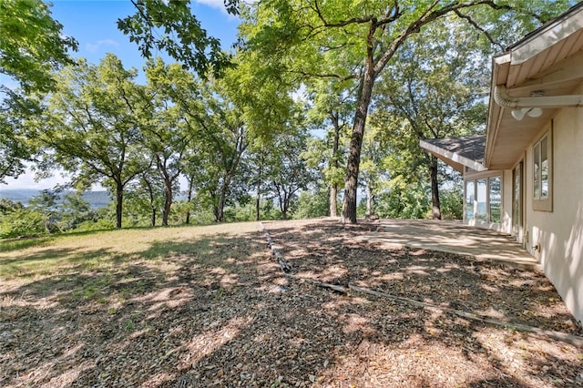 view of yard featuring a patio area