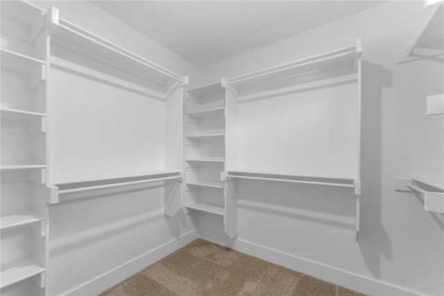 4206 SW Adams St, Bentonville, AR 72713 - spacious closet featuring carpet flooring