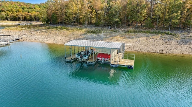 dock area with a water view