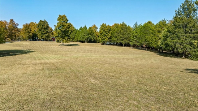 view of yard featuring a rural view