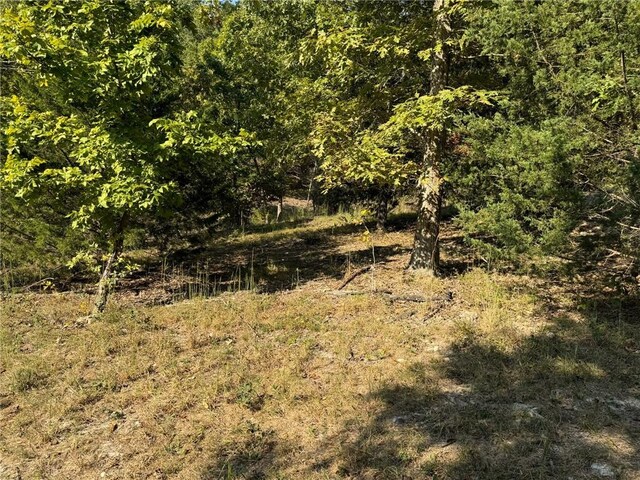 6990 Promise Land Rd, Mountain Home, AR 72653 - photo 39