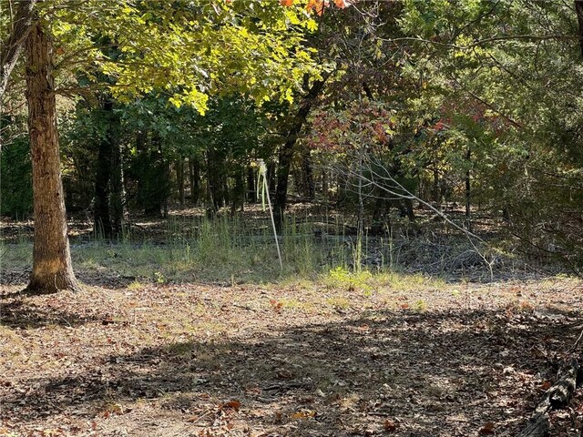 6990 Promise Land Rd, Mountain Home, AR 72653 - photo 40