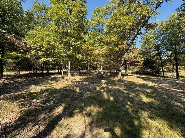 6990 Promise Land Rd, Mountain Home, AR 72653 - photo 41