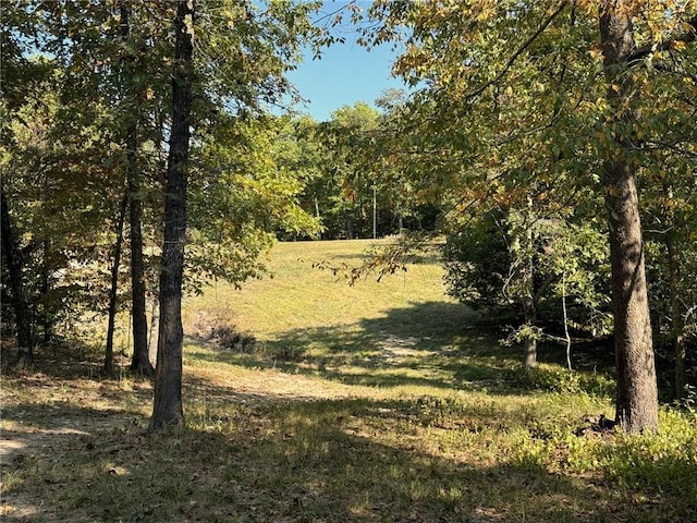 6990 Promise Land Rd, Mountain Home, AR 72653 - photo 43