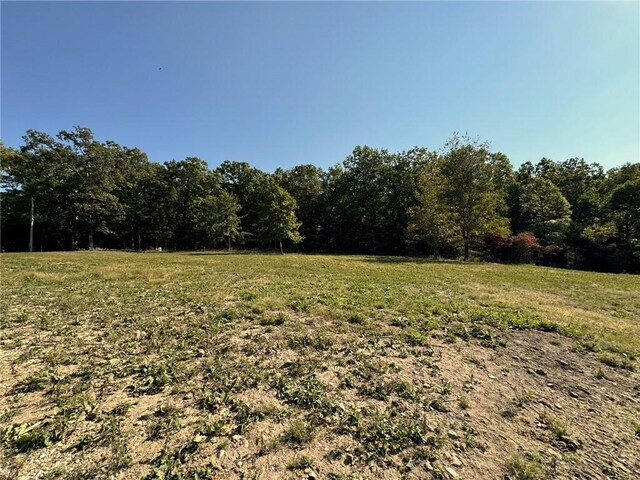 6990 Promise Land Rd, Mountain Home, AR 72653 - photo 45
