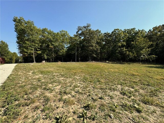 6990 Promise Land Rd, Mountain Home, AR 72653 - photo 47