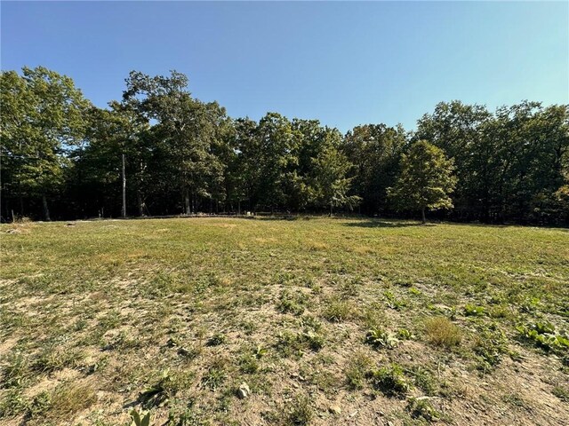 6990 Promise Land Rd, Mountain Home, AR 72653 - photo 48