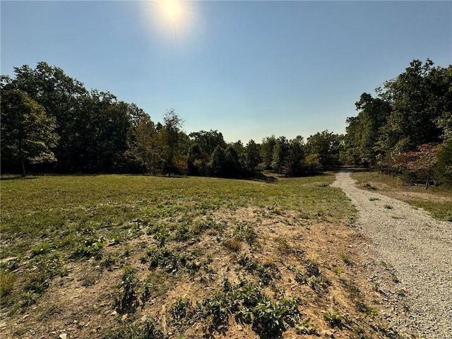 6990 Promise Land Rd, Mountain Home, AR 72653 - photo 50
