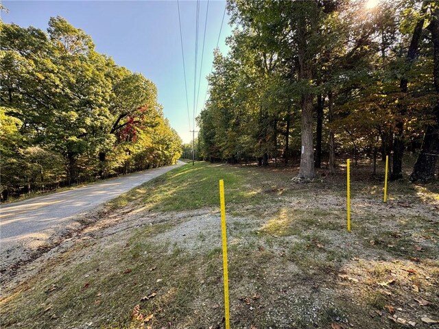 6990 Promise Land Rd, Mountain Home, AR 72653 - photo 3