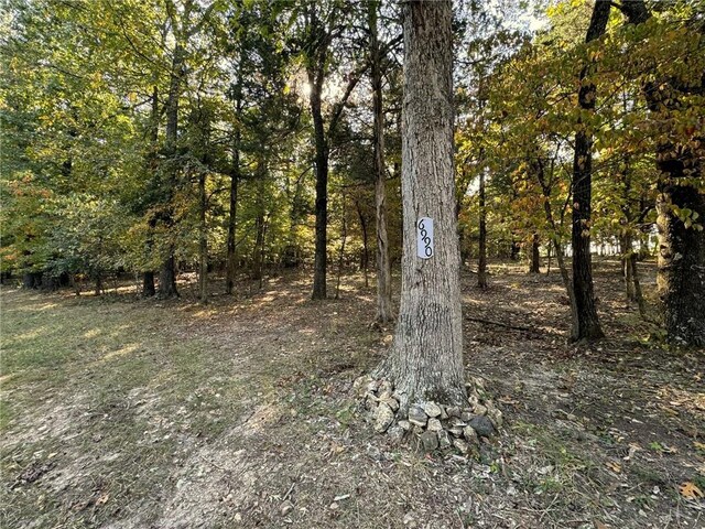 6990 Promise Land Rd, Mountain Home, AR 72653 - photo 4