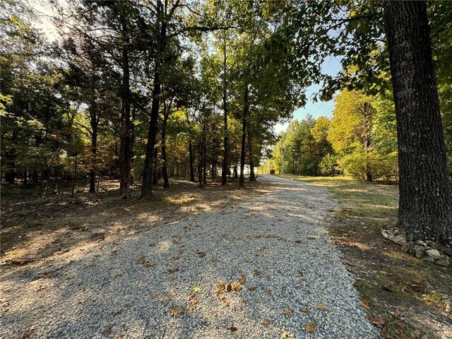 6990 Promise Land Rd, Mountain Home, AR 72653 - photo 5