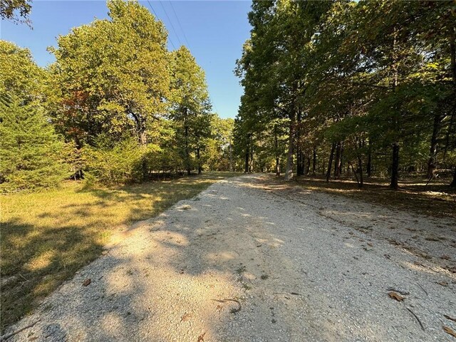 6990 Promise Land Rd, Mountain Home, AR 72653 - photo 8
