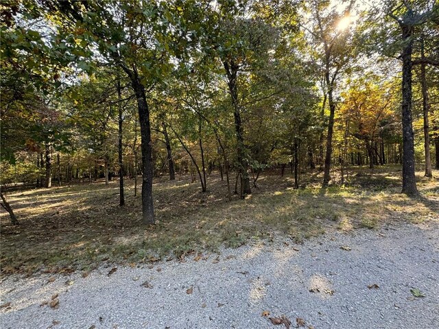 6990 Promise Land Rd, Mountain Home, AR 72653 - photo 9