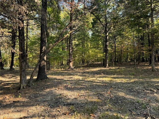 6990 Promise Land Rd, Mountain Home, AR 72653 - photo 12