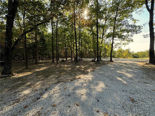 6990 Promise Land Rd, Mountain Home, AR 72653 - photo 14