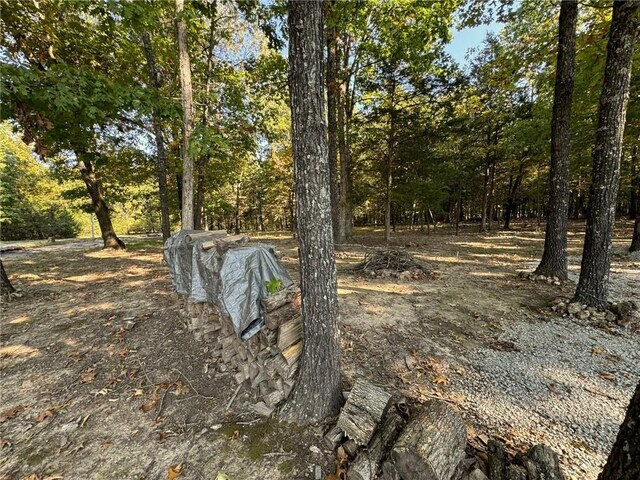 6990 Promise Land Rd, Mountain Home, AR 72653 - photo 29