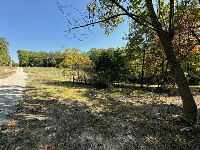 6990 Promise Land Rd, Mountain Home, AR 72653 - photo 35