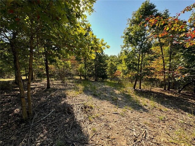 6990 Promise Land Rd, Mountain Home, AR 72653 - photo 37
