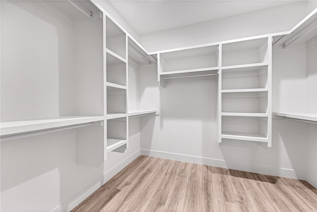 spacious closet with wood-type flooring