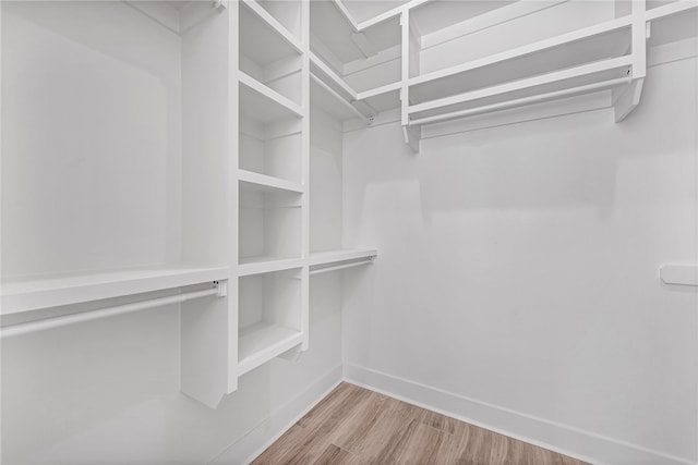 walk in closet with wood-type flooring