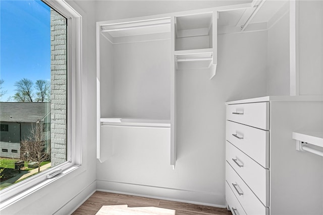 spacious closet featuring light wood-type flooring