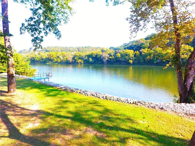 471 Mcphearson Ter, Calico Rock, AR 72519 - water view featuring a forest view