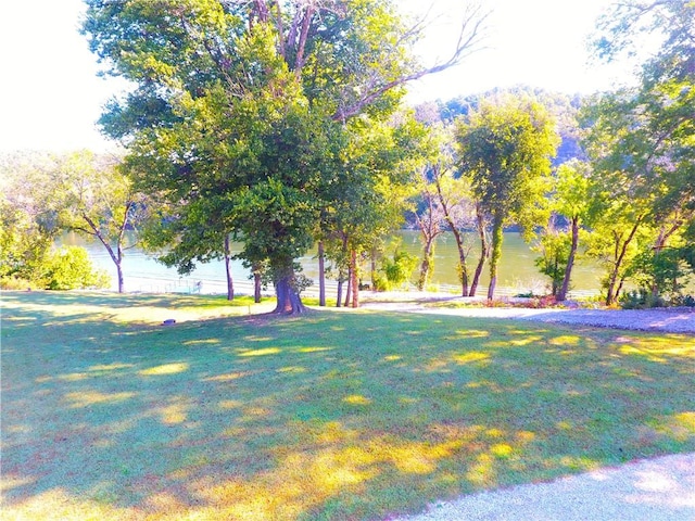 471 Mcphearson Ter, Calico Rock, AR 72519 - view of community with a yard