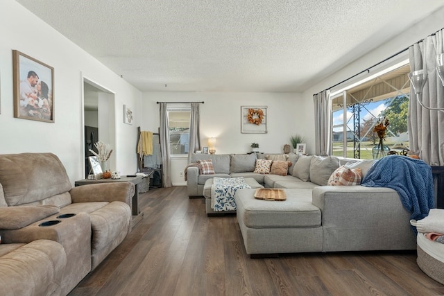 living room with dark hardwood / wood-style flooring and a textured ceiling