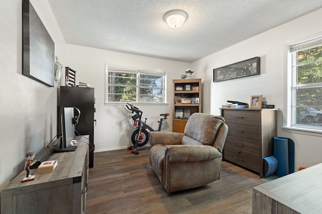 sitting room featuring dark hardwood / wood-style flooring and a textured ceiling