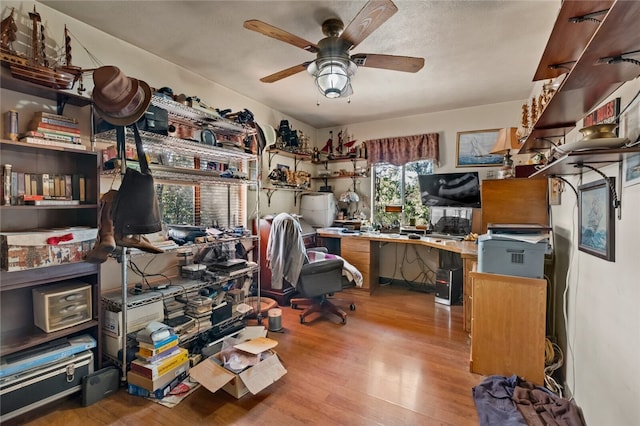 office featuring ceiling fan, light hardwood / wood-style flooring, and a healthy amount of sunlight