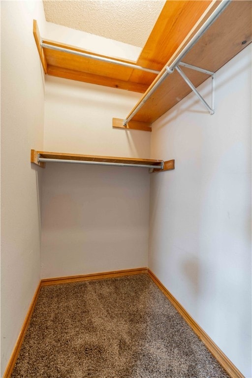 walk in closet with carpet