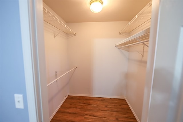 walk in closet with dark hardwood / wood-style flooring