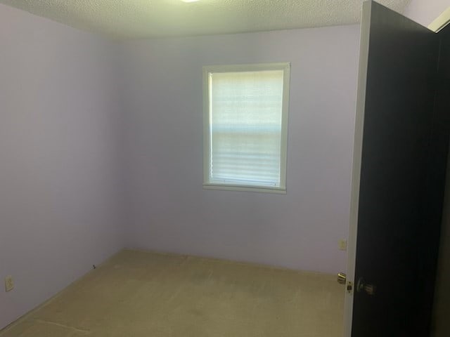 carpeted empty room featuring a textured ceiling