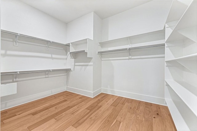 walk in closet featuring light wood-type flooring