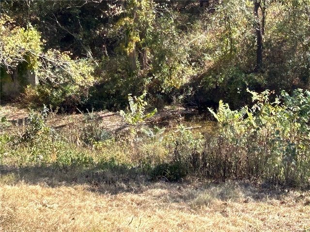 view of local wilderness