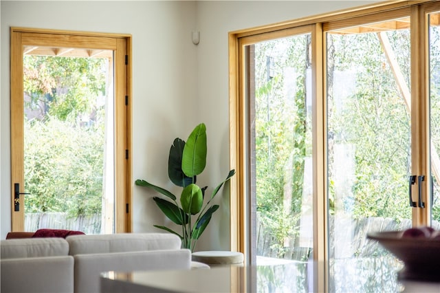 entryway with a wealth of natural light