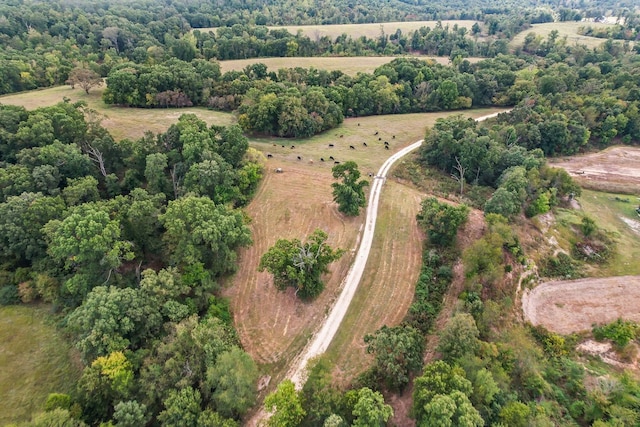 bird's eye view featuring a rural view