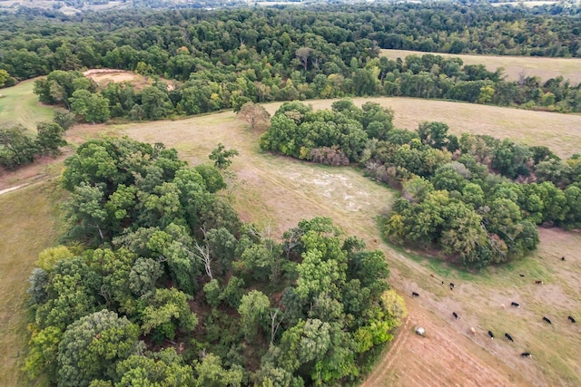 birds eye view of property featuring a rural view