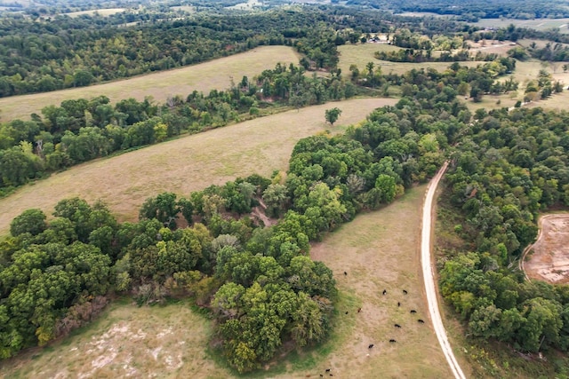 drone / aerial view featuring a rural view