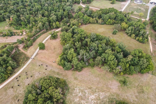 drone / aerial view with a rural view