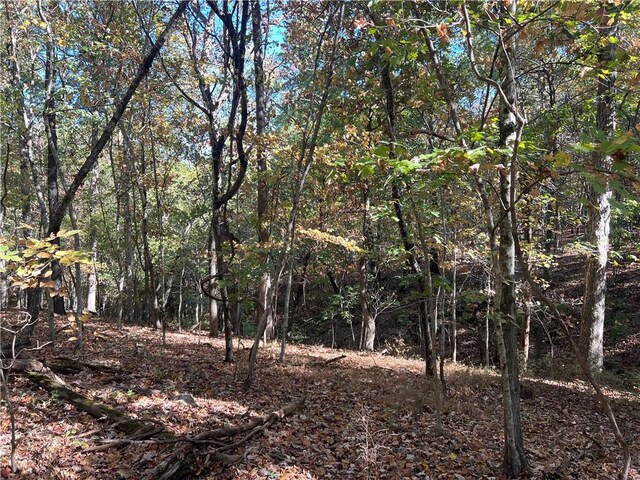 S 690th Rd, Colcord, OK 74338 - photo 22