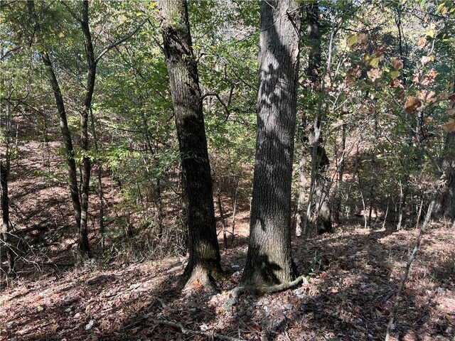 S 690th Rd, Colcord, OK 74338 - photo 29